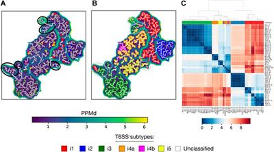 AlignScape, displaying sequence similarity using self-organizing maps